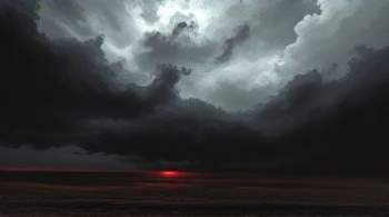 Площадь восстановления лесов в Калужской области в 2019 году вырастет на 9%