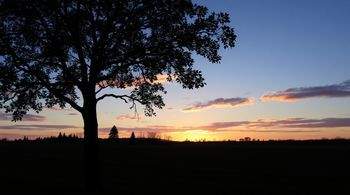 "Мерабовой присвоено звание заслуженной артистки России по указу Путина"