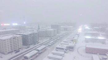 Снежный циклон над Москвой в объективе "Роскосмоса"