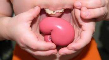 "У московского школьника в мочевом пузыре обнаружили пластилин величиной с киви".