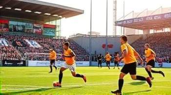 В Москве прошел матч в поддержку сохранения краснокнижных кошек